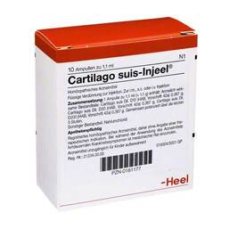 Abbildung: Cartilago suis Injeel Ampullen 10 St, Ampullen PZN 00181177