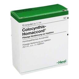 Abbildung: Colocynthis Homaccord Ampullen Ampullen, 10 St PZN 00228513