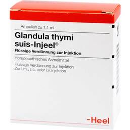 Abbildung: Glandula Thymi suis Injeel Ampullen 100 St, Ampullen PZN 00421233