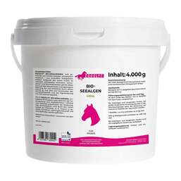 Abbildung: Equolyt Seealgenmehl Pulver Pulver, 4 kg PZN 00503994