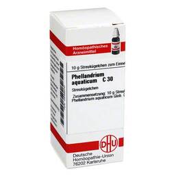 Abbildung: DHU Phellandrium Aquaticum C 30 Globuli, 10 g PZN 00546070