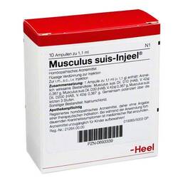 Abbildung: Musculus suis Injeel Ampullen 10 St, Ampullen PZN 00693339