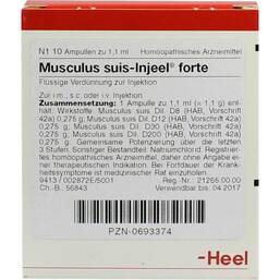 Abbildung: Musculus suis Injeel forte Ampullen 10 St, Ampullen PZN 00693374