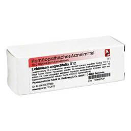Abbildung: Echinacea angustifolia D 12 Globuli, 10 g PZN 00908254