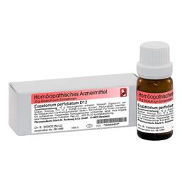 Abbildung: Eupatorium perfoliatum D 12 10 g, Globuli PZN 00908403
