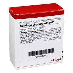 Abbildung: Solidago virgaurea Injeel Ampullen 10 St, Ampullen PZN 00945189