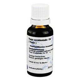 Abbildung: Thuja D 6 Dilution 20 ml, Dilution PZN 01026071