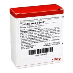 Abbildung: Tonsilla Suis Injeel Ampullen 10 St, Ampullen PZN 01034366