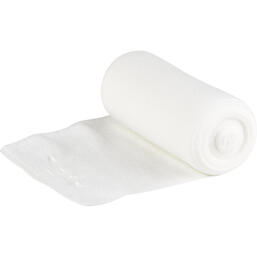 Abbildung: Idealbinde n. DIN 5mx8cm 10 St, Binden PZN 01303814