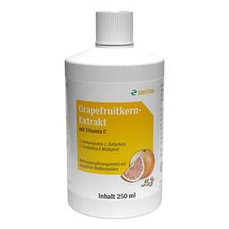 Abbildung: Grapefruit Kern Extrakt Lösung, 250 ml PZN 01345178