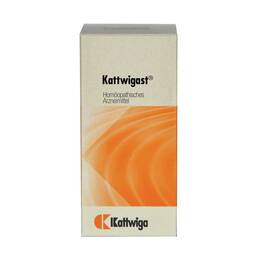 Abbildung: Kattwigast Tabletten Tabletten, 100 St PZN 01396253