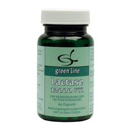 Abbildung: Lactase 12000 FCC Kapseln 60 St, Kapseln PZN 01466315