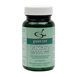 Abbildung: Laktase 12000 FCC Kapseln 60 St, Kapseln PZN 01466338