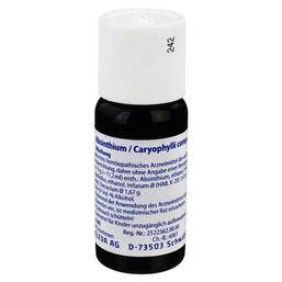 Abbildung: Absinthium / Caryophylli comp. Dilution 50 ml, Mischung PZN 01571762