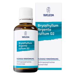 Abbildung: Bryophyllum Argento Cultum D Dilution, 50 ml PZN 01571911