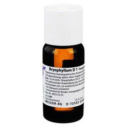 Abbildung: Bryophyllum D 1 Dilution Dilution, 50 ml PZN 01613087