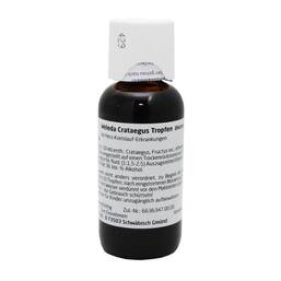 Abbildung: Crataegus Tropfen Dilution, 100 ml PZN 01614939