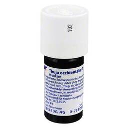 Abbildung: Thuja Occidentalis Urtinktur Dilution, 20 ml PZN 01615123