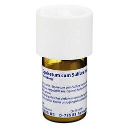 Abbildung: Equisetum cum Sulfure tostum D 6 Trituration Trituration, 20 g PZN 01616111