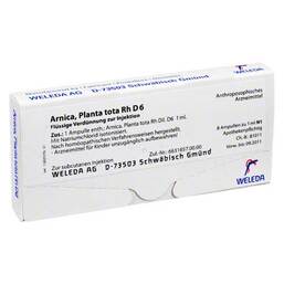 Abbildung: Arnica Planta Tota RH D 6 Ampullen 8X1 ml, Ampullen PZN 01618274