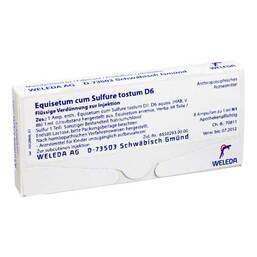 Abbildung: Equisetum cum Sulfure tostum D 6 Ampullen Ampullen, 8X1 ml PZN 01621945