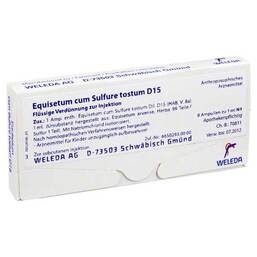 Abbildung: Equisetum cum Sulfure tostum D 15 Ampullen Ampullen, 8X1 ml PZN 01621968