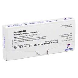 Abbildung: Lachesis D 6 Ampullen Ampullen, 8X1 ml PZN 01623559