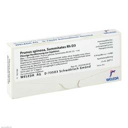 Abbildung: Prunus Spinosa Summitates Rh D 3 Ampullen 8X1 ml, Ampullen PZN 01625357