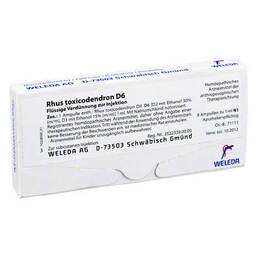 Abbildung: Rhus toxicodendron D 6 Ampullen 8X1 ml, Ampullen PZN 01625877