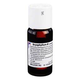 Abbildung: Bryophyllum Urtinktur Dilution, 50 ml PZN 01629065