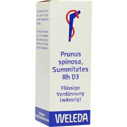 Abbildung: Prunus Spinosa Summitates Rh D 3 Dilution 20 ml, Dilution PZN 01630393