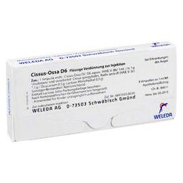 Abbildung: Cissus-Ossa D 6 Ampullen 8X1 ml, Ampullen PZN 01630795