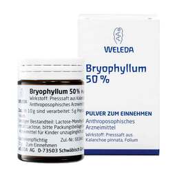 Abbildung: Bryophyllum 50% Pulver zum Einnehmen Pulver, 50 g PZN 01631441