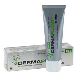 Abbildung: Dermaplant Salbe Salbe, 25 g PZN 01713512
