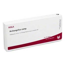 Abbildung: Archangelica comp. Ampullen 10X1 ml, Ampullen PZN 01750631
