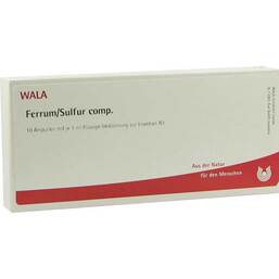 Abbildung: Ferrum Sulfur comp. Ampullen Ampullen, 10X1 ml PZN 01751464