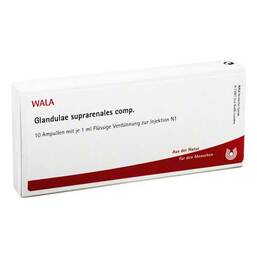 Abbildung: Glandulae suprarenalis comp. Ampullen Ampullen, 10X1 ml PZN 01751501