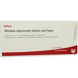 Abbildung: Glandula suprarenalis sinistra cum Cuprom Cupro Ampullen 10X1 ml, Ampullen PZN 01751524