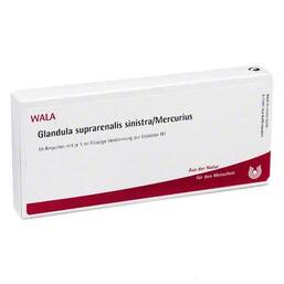 Abbildung: Glandula suprarenalis Sinistra / Mercurius Ampullen 10X1 ml, Ampullen PZN 01751530