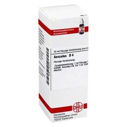 Abbildung: Aesculus D 4 Dilution Dilution, 20 ml PZN 01755315