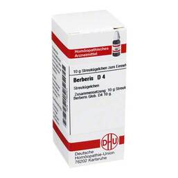 Abbildung: DHU Berberis D 4 Globuli Globuli, 10 g PZN 01760701