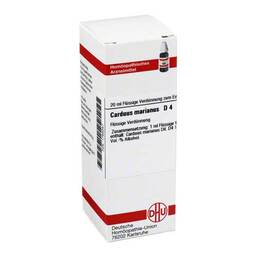 Abbildung: Carduus marianus D 4 Dilution Dilution, 20 ml PZN 01764047