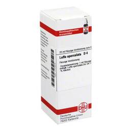 Abbildung: Luffa operculata D 4 Dilution Dilution, 20 ml PZN 01777073