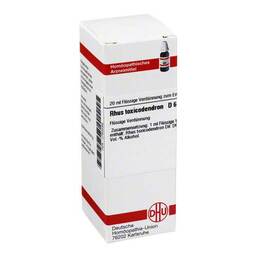 Abbildung: DHU Rhus toxicodendron D 6 Dilution Dilution, 20 ml PZN 01783599