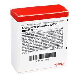 Abbildung: Atp Injeel forte Ampullen 10 St, Ampullen PZN 01813478