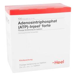 Abbildung: Atp Injeel forte Ampullen 100 St, Ampullen PZN 01813490