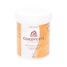 Abbildung: Cordyceps Vitalpilz Terra Mundo Kapseln Kapseln, 240 St PZN 01920122