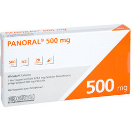 Abbildung: Panoral 500 mg Hartkapseln 20 St, Hartkapseln PZN 02078354