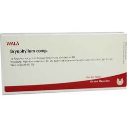Abbildung: Bryophyllum comp. Ampullen Ampullen, 10X1 ml PZN 02085213