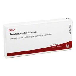 Abbildung: Periodontium / Silicea comp. Ampullen 10X1 ml, Ampullen PZN 02086394